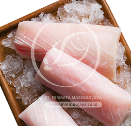 Cobia Frozen fish