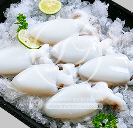 whole cleaned cuttlefish