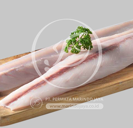 Cobia Fillet fresh fish