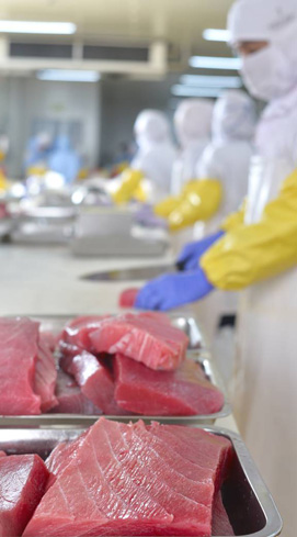 fish processing