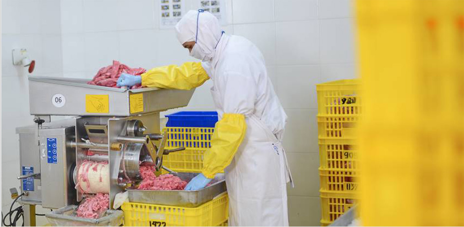 fish processing pt. permata marindo jaya