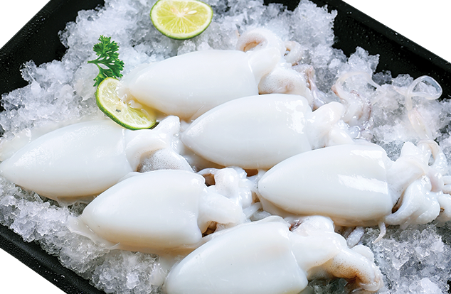 whole cleaned cuttlefish